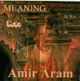 Amir Aram - Meaning - Mana (CD)