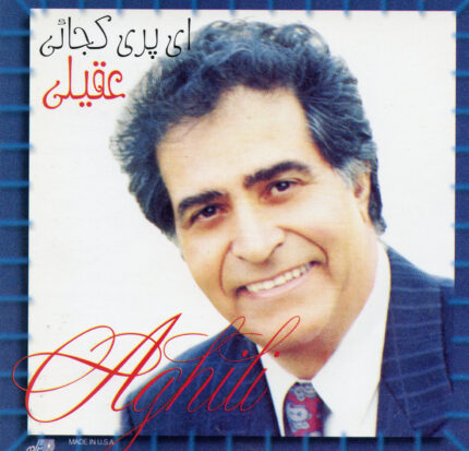 Hooshmand Aghili(Pari Kojayi)هوشمند عقیلی(ای پری کجایی)