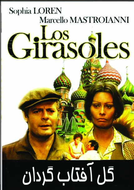 Los Girasole   گل آفتاب گردان